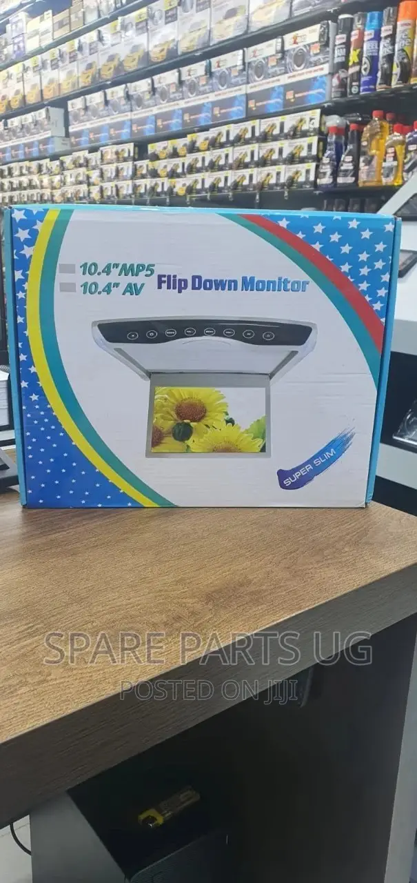 Flip Down Monitor