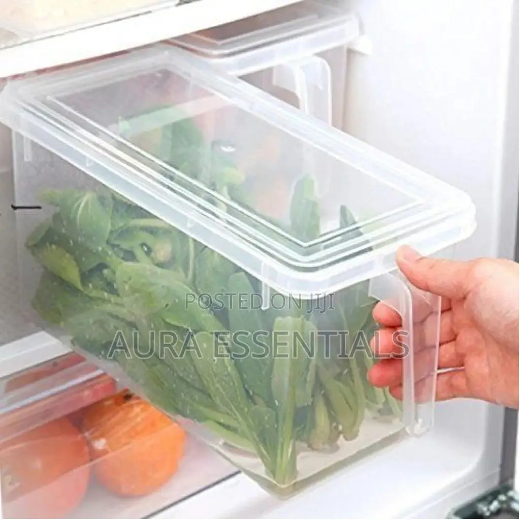 Refrigerator Storage Container