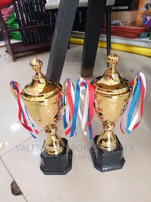 Football Trophies Gold Original Material