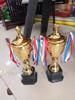 Football Trophies Gold Original Material