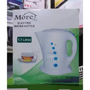 More Electric Water Kettle