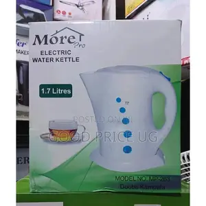 More Electric Water Kettle