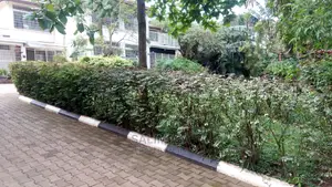 4bdrm Duplex in Kololo Property, Central Division for Rent