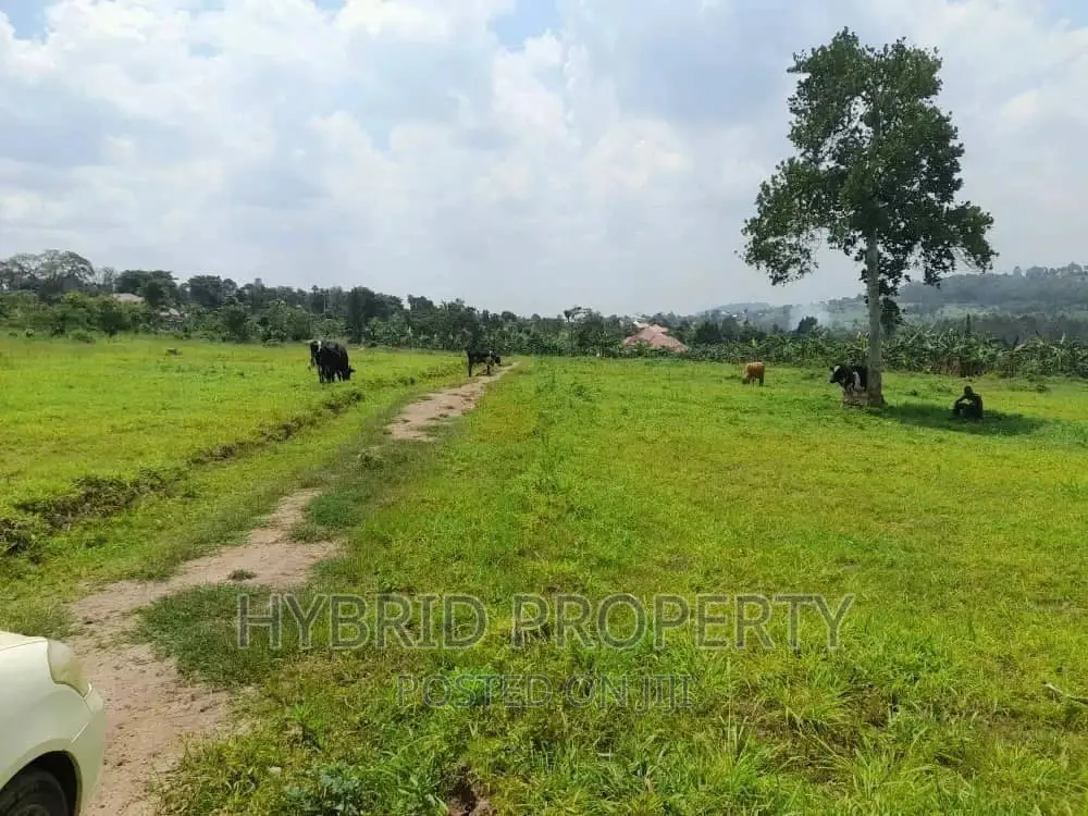 Prime Plots for Sale at Kakiri~Mpeggwe Land Estate~Hoima Rd.