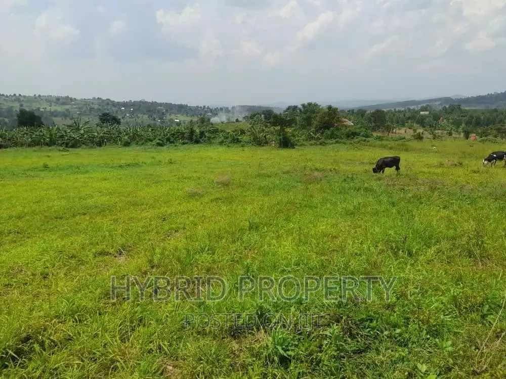 Prime Plots for Sale at Kakiri~Mpeggwe Land Estate~Hoima Rd.