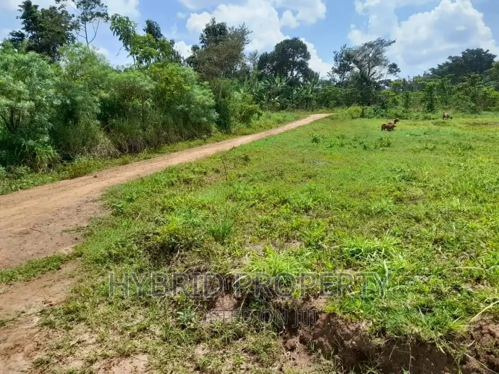 Prime Plots for Sale at Kakiri~Mpeggwe Land Estate~Hoima Rd.