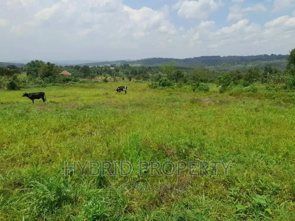Prime Plots for Sale at Kakiri~Mpeggwe Land Estate~Hoima Rd.
