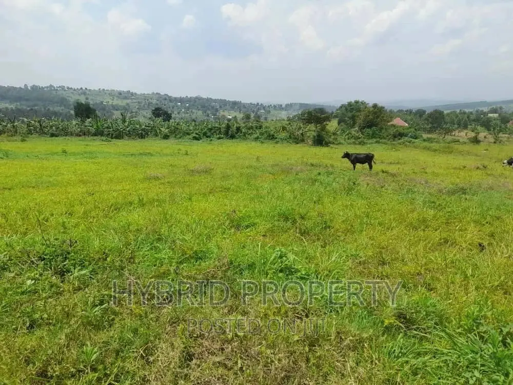 Prime Plots for Sale at Kakiri~Mpeggwe Land Estate~Hoima Rd.