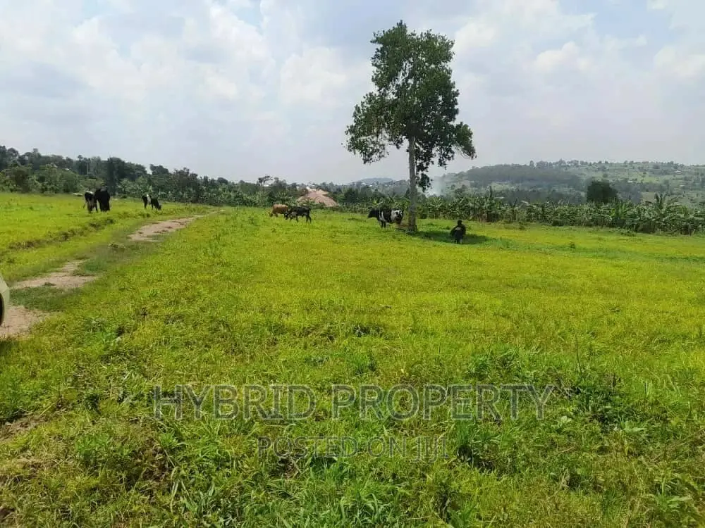 Prime Plots for Sale at Kakiri~Mpeggwe Land Estate~Hoima Rd.