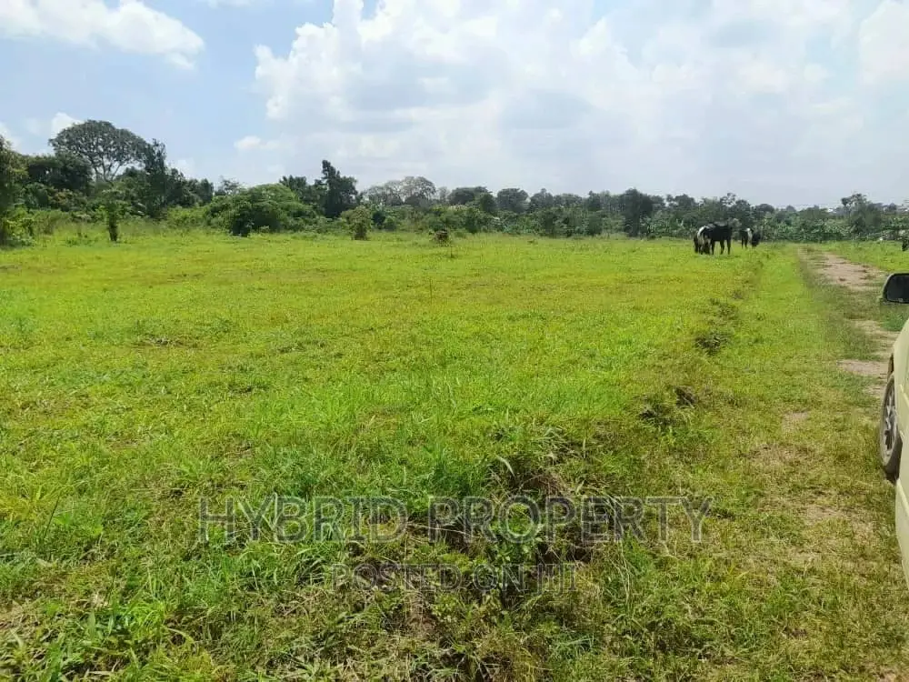 Prime Plots for Sale at Kakiri~Mpeggwe Land Estate~Hoima Rd.
