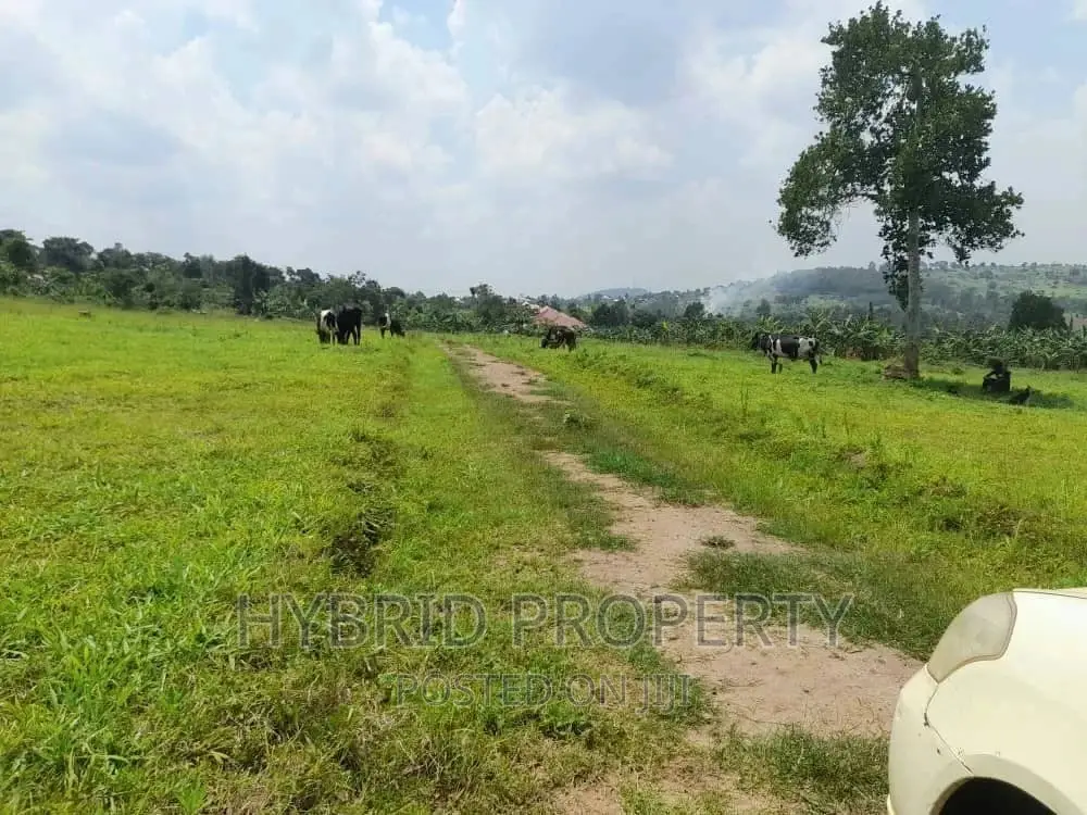 Prime Plots for Sale at Kakiri~Mpeggwe Land Estate~Hoima Rd.