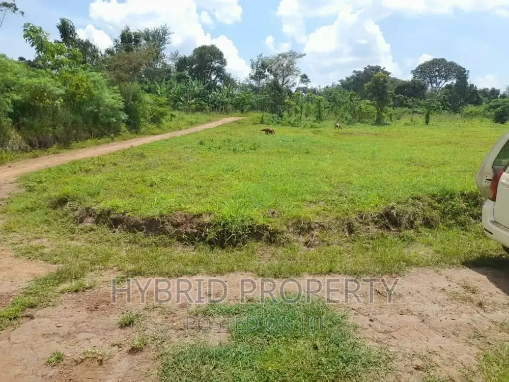Prime Plots for Sale at Kakiri~Mpeggwe Land Estate~Hoima Rd.