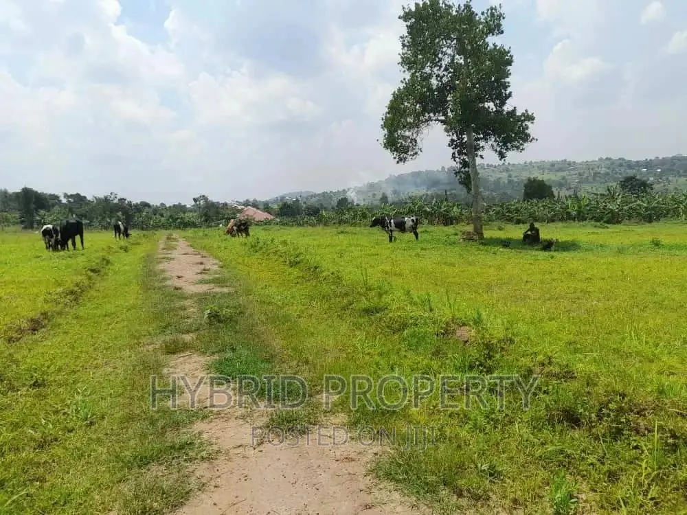 Prime Plots for Sale at Kakiri~Mpeggwe Land Estate~Hoima Rd.