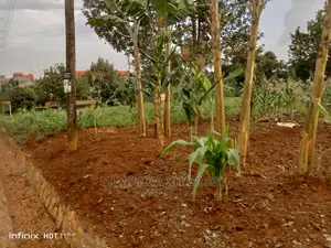 20decimals Plot of Land for Sale in Kungu