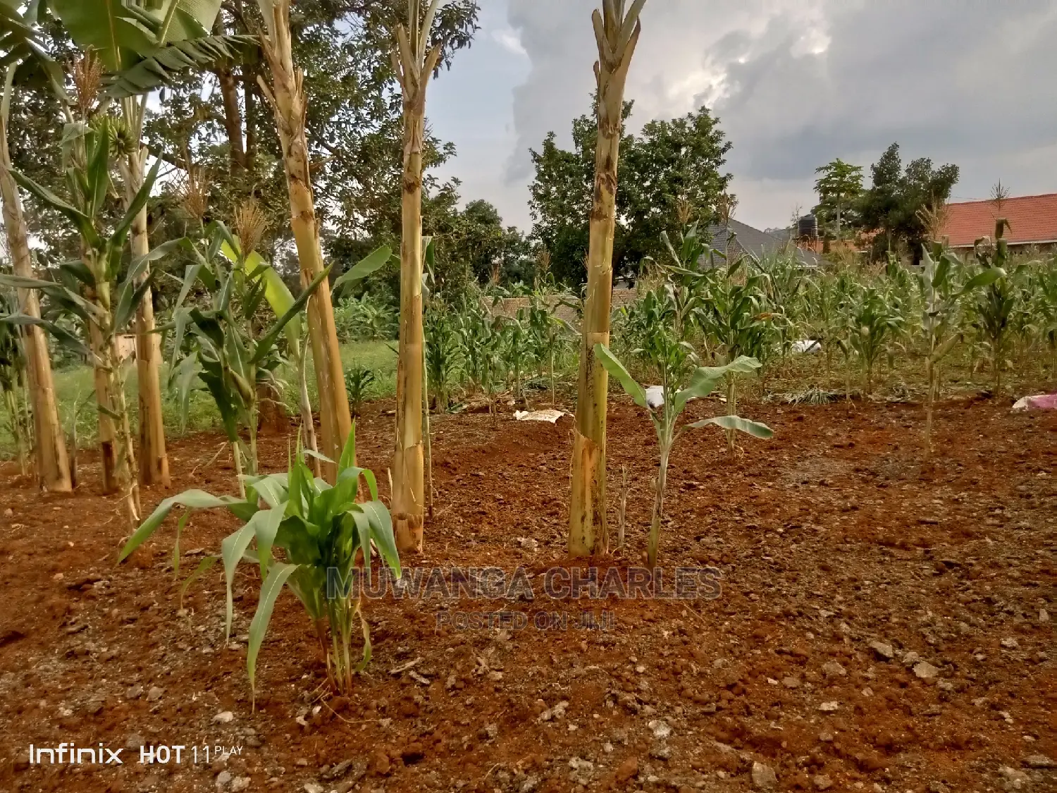 20decimals Plot of Land for Sale in Kungu
