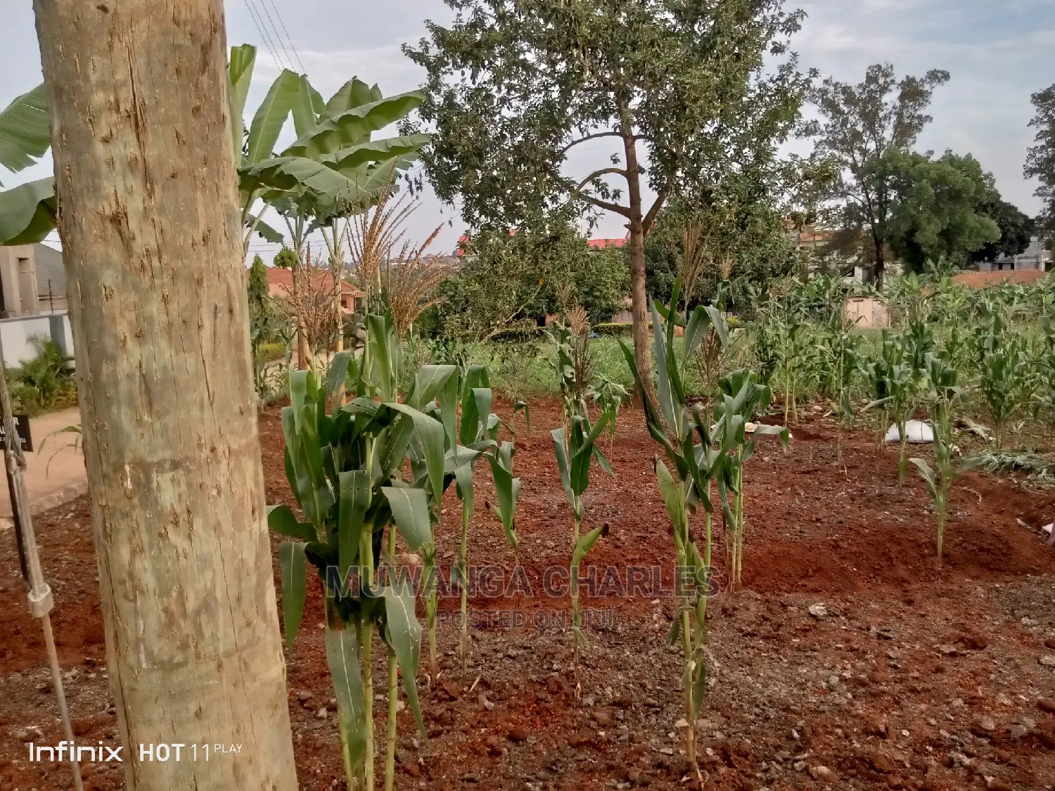 20decimals Plot of Land for Sale in Kungu