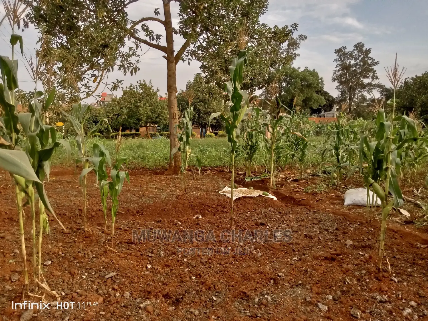 20decimals Plot of Land for Sale in Kungu