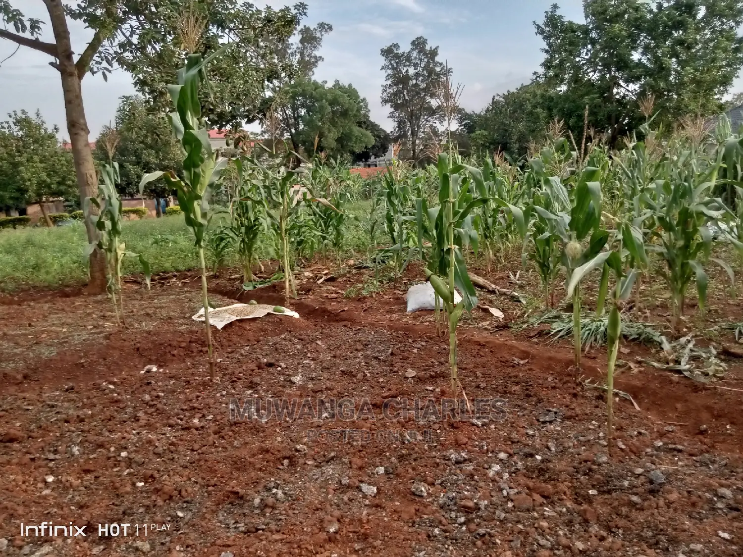20decimals Plot of Land for Sale in Kungu