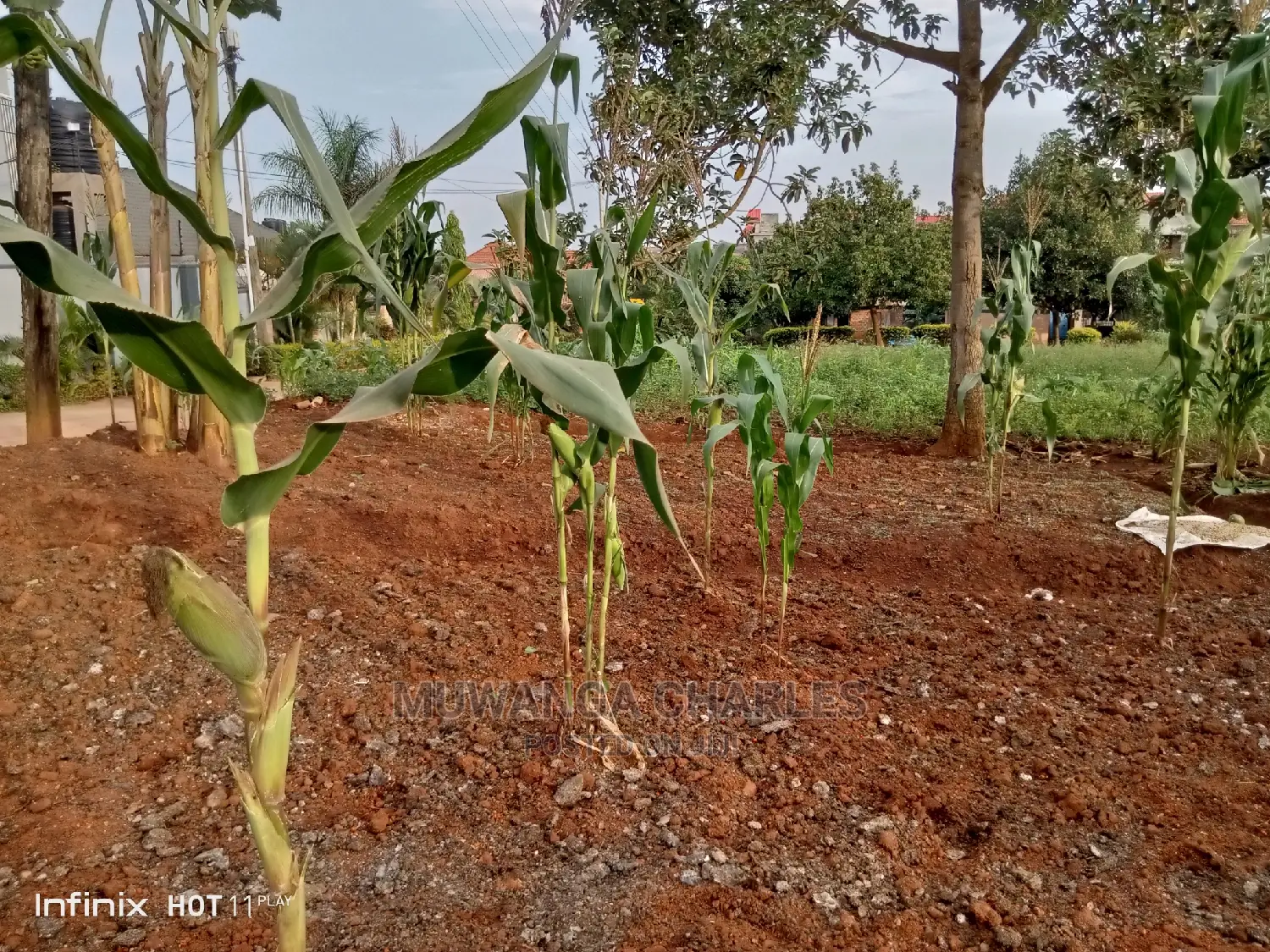 20decimals Plot of Land for Sale in Kungu