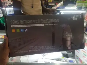 Professional Condenser Microphone/Recording Microphone