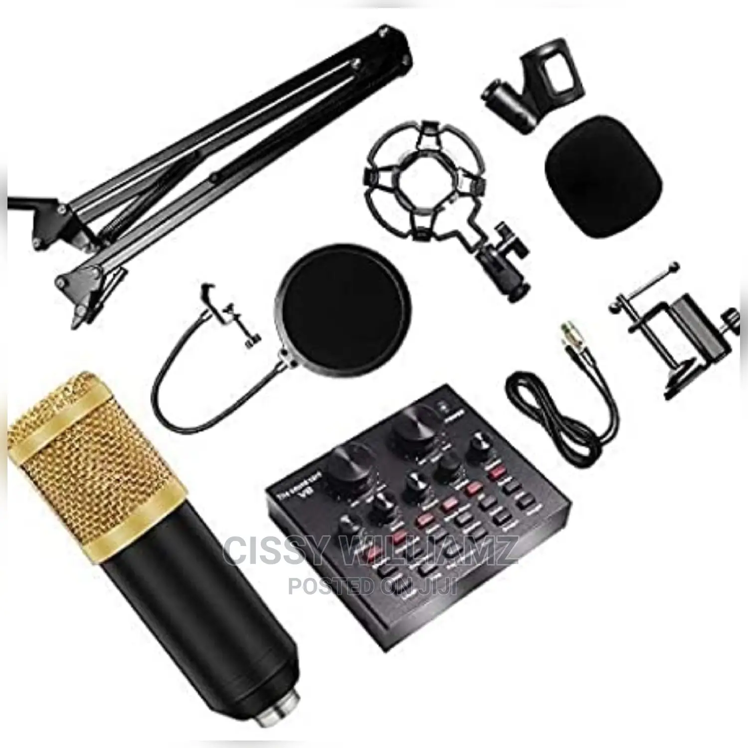 Live Broadcast Equipment/Condenser /Recording Microphone