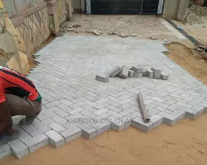 Paver Installation and Compound Designing