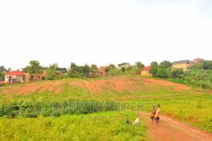 Prime Plots for Sale at Bukalango~Wakiso Estate~Hoima Road.