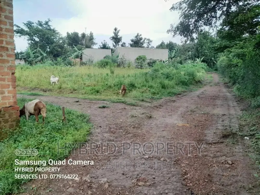 Prime Plots for Sale at Bukalango~Wakiso Estate~Hoima Road.
