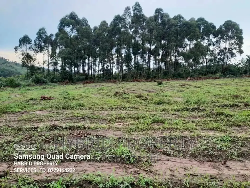 Plots for Sale at Gobero~Kyengeza II Land Estate~Hoima Rd.