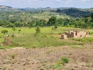 Prime Plots for Sale at Gayaza~Nkoowe [Wakiso]~Hoima Road.