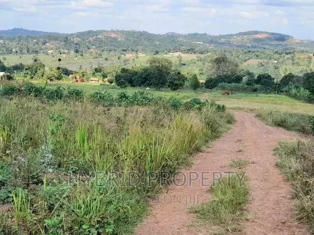 Prime Plots for Sale at Gayaza~Nkoowe [Wakiso]~Hoima Road.