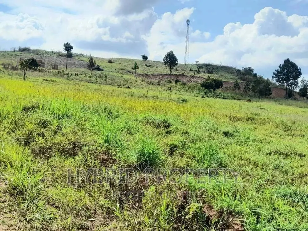 Prime Plots for Sale at Gayaza~Nkoowe [Wakiso]~Hoima Road.