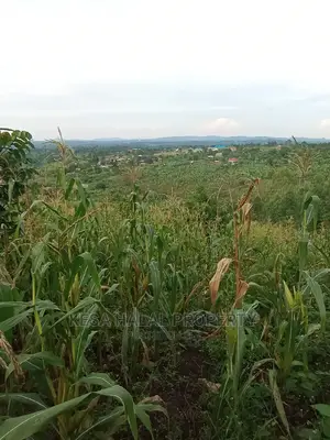 Good View Plots on Bombo Rd U Branch at Janan Sch.