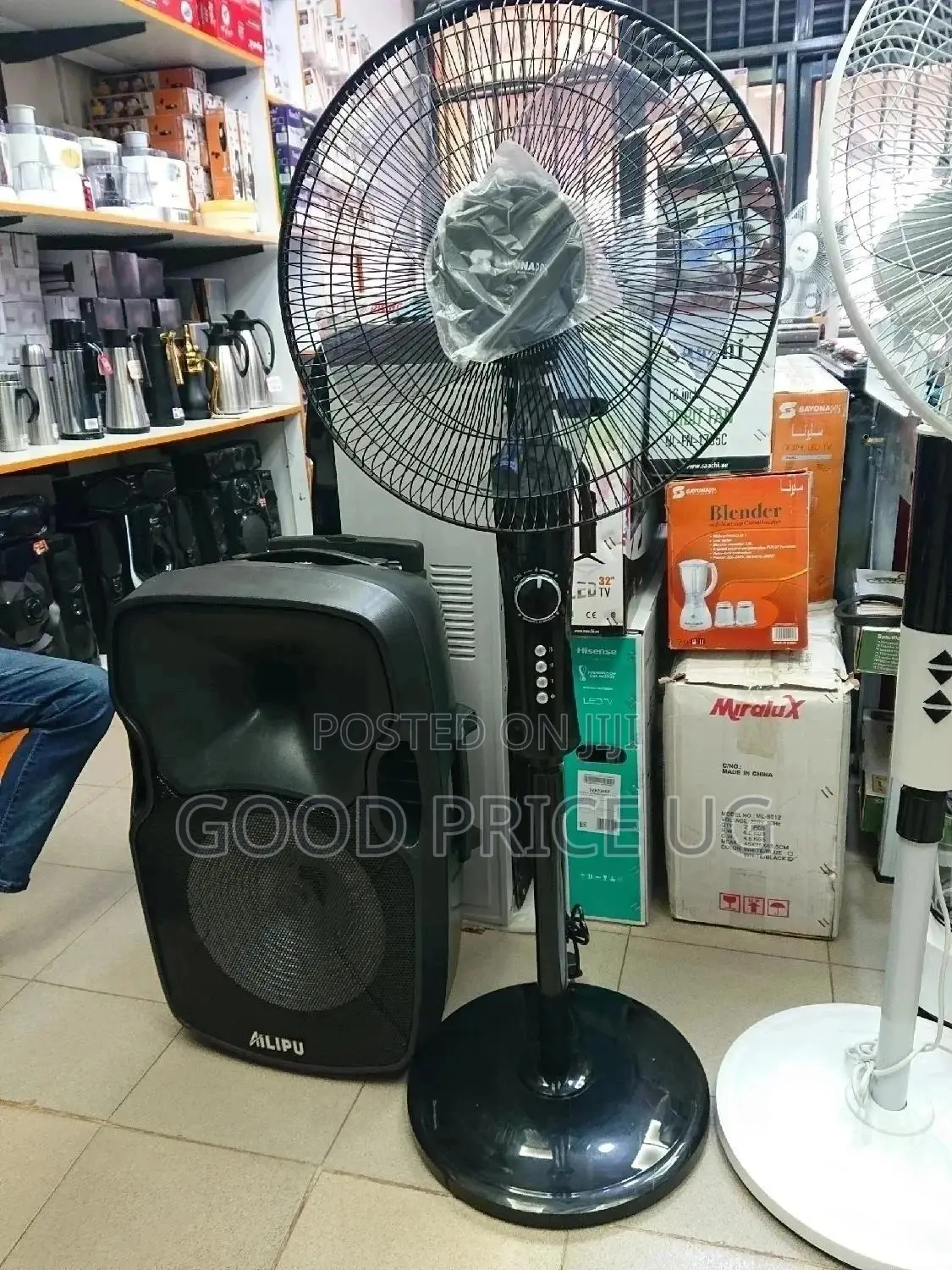 Sayona Stand Fan