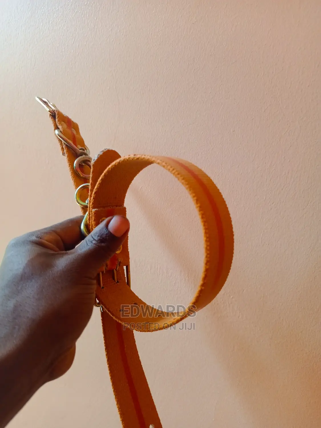 Dog Collars 5