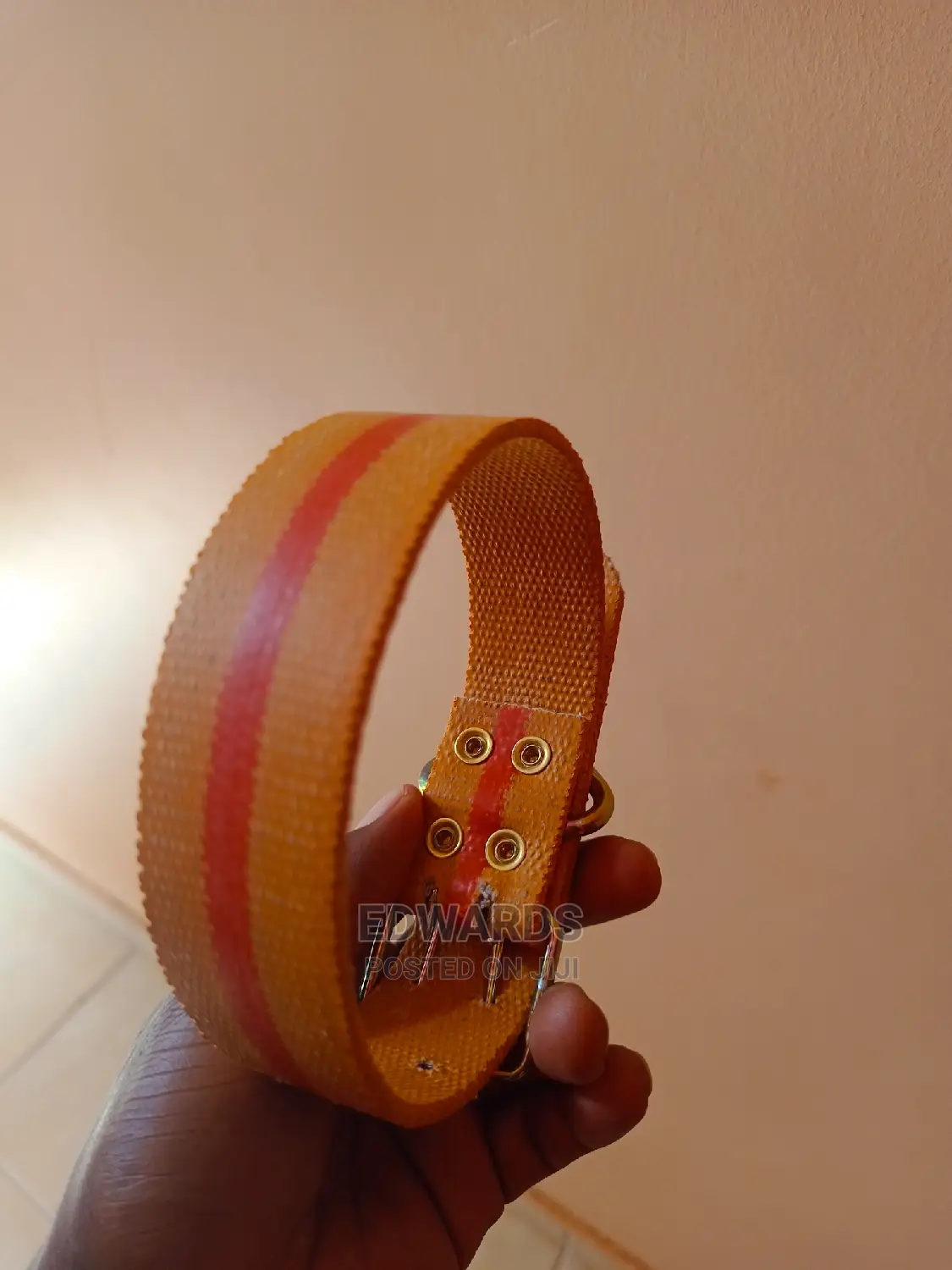 Dog Collars 5