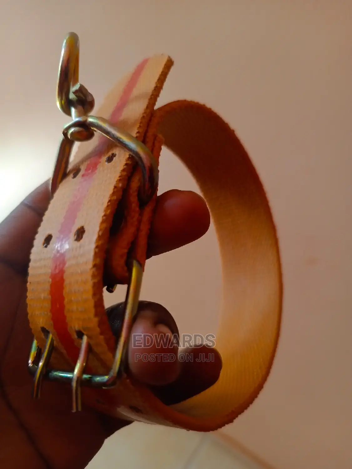 Dog Collars 5