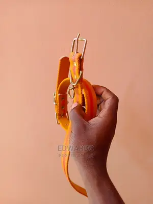 Dog Collar 2