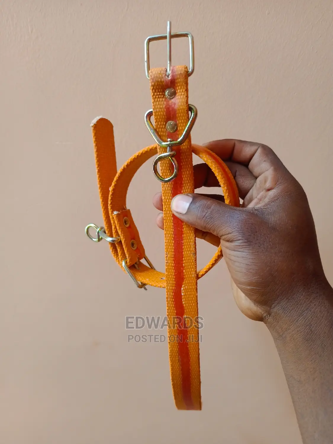 Dog Collar 2