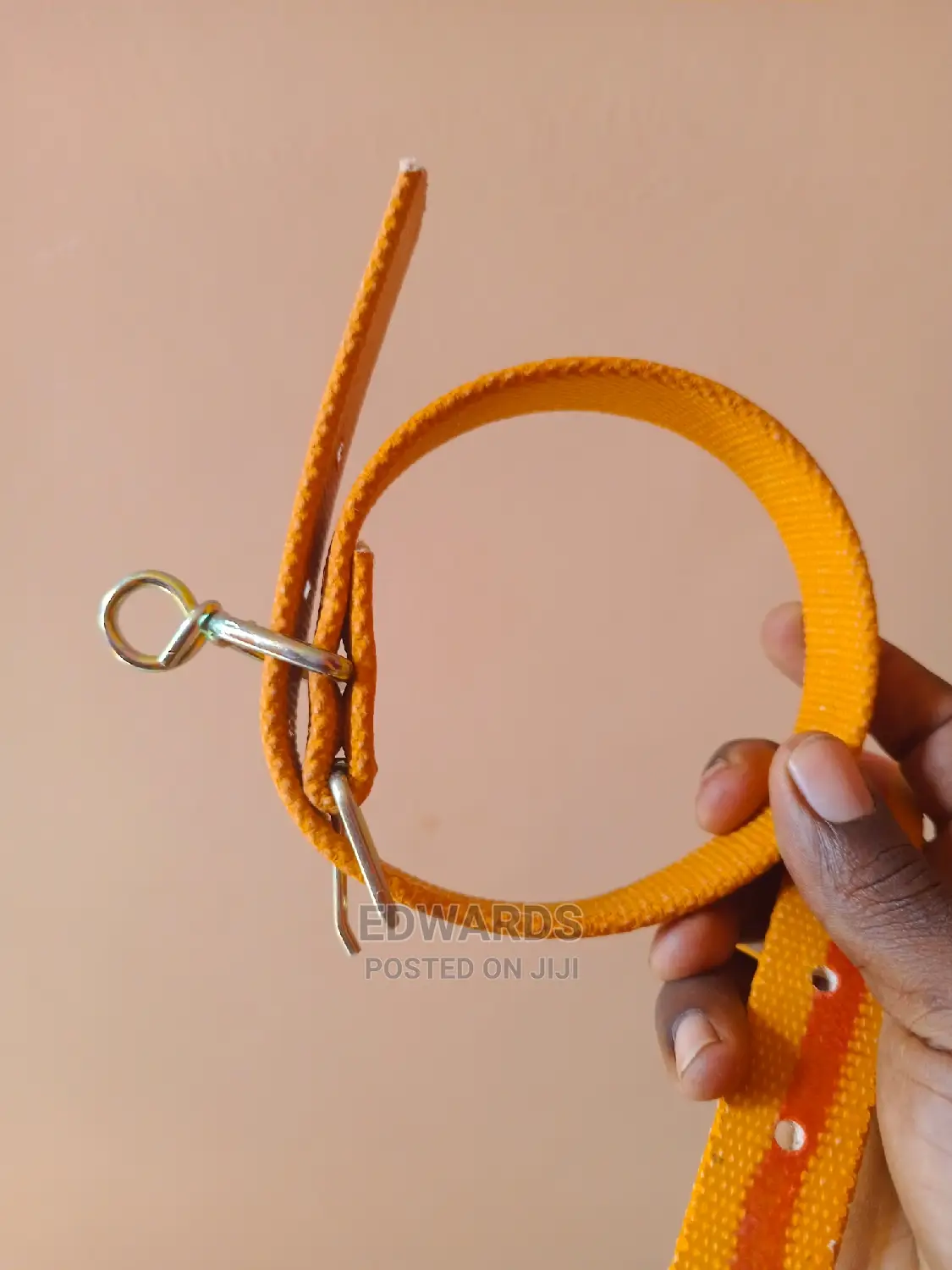 Dog Collar 2
