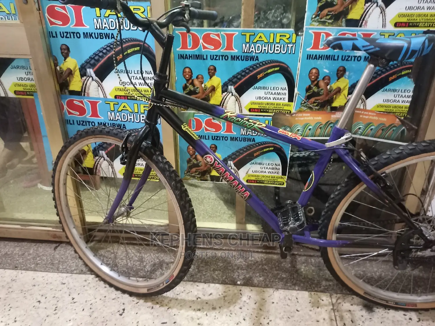 Adult Bicycle