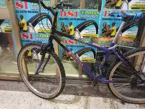 Adult Bicycle