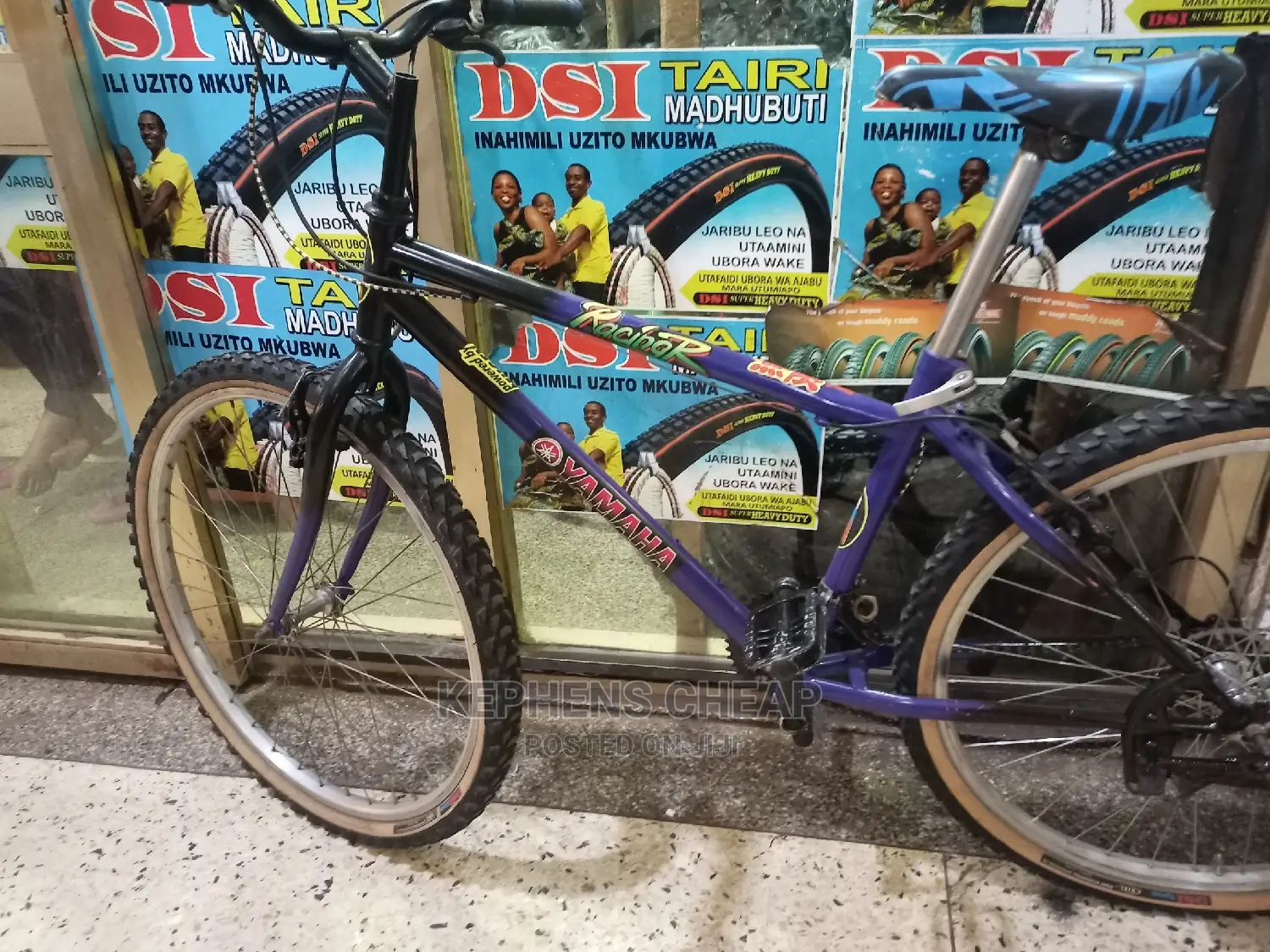 Adult Bicycle