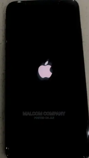 iPhone Stuck at Apple Log