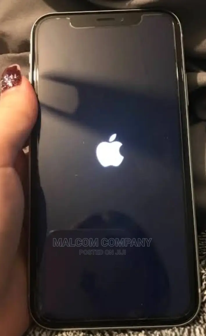 iPhone Stuck at Apple Log
