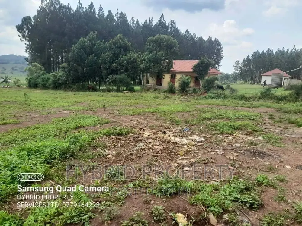 Prime Plots For Sale At Sumba~Buddo Land Estate~Masaka Road.