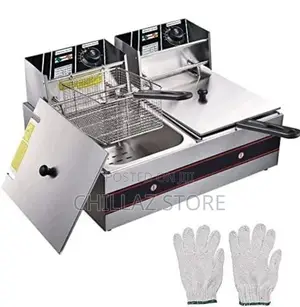 Double Electric Deep Fryer