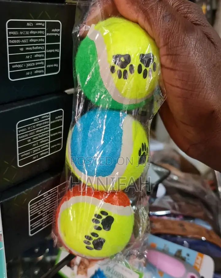 Pet Playing Toys