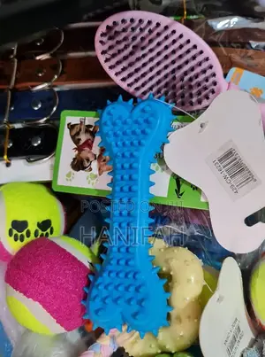 Pet Playing Toys