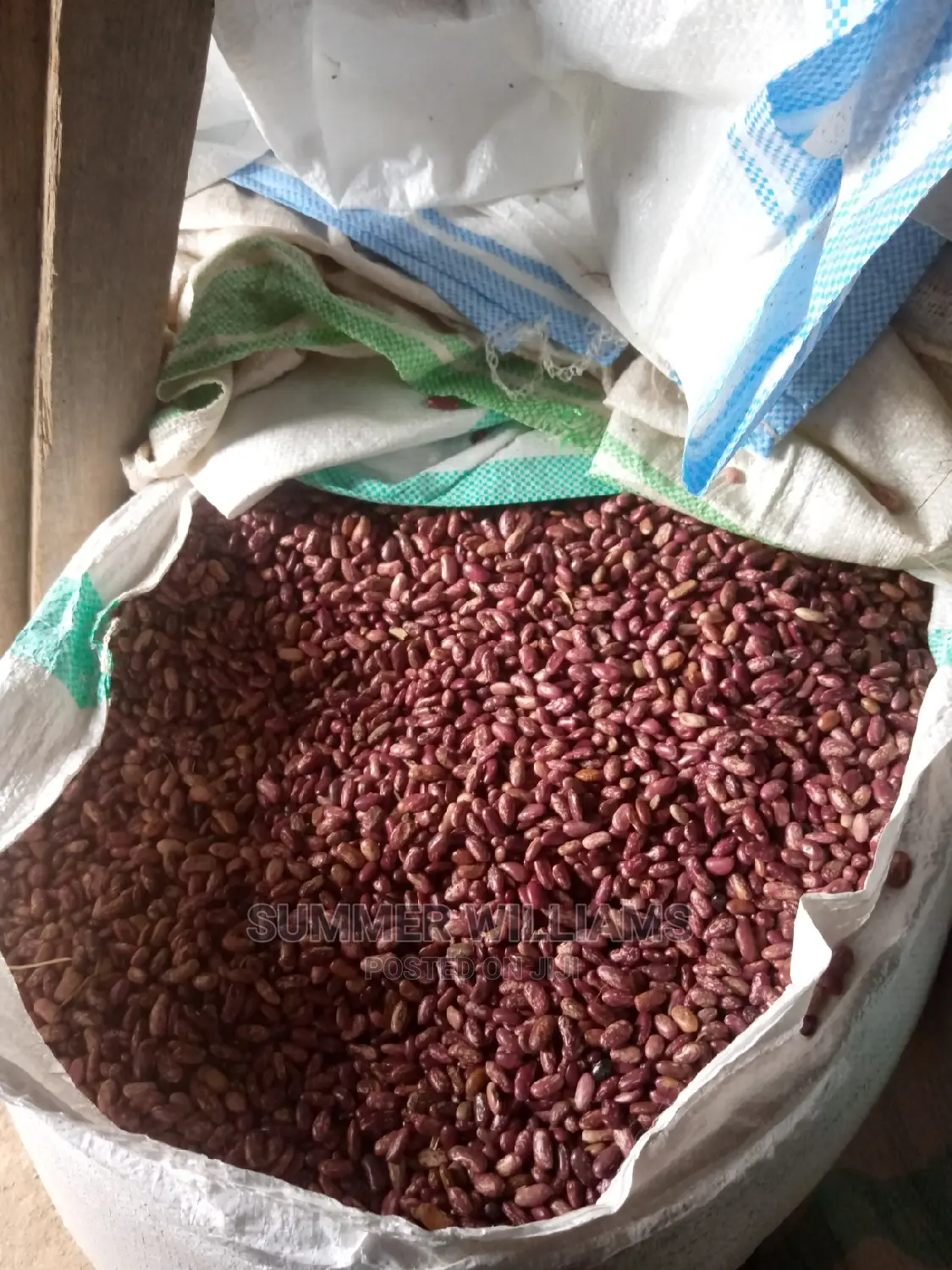 All Types of Beans